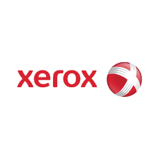 Картридж + девелопер Xerox 013R00589 черный (Black) оригинальный для лазерных принтеров